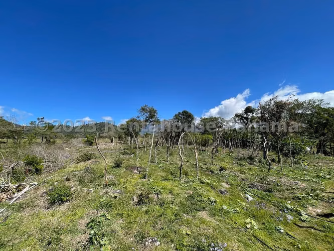 Terreno en Venta en Volcán 27jack1258 - Imagen 20
