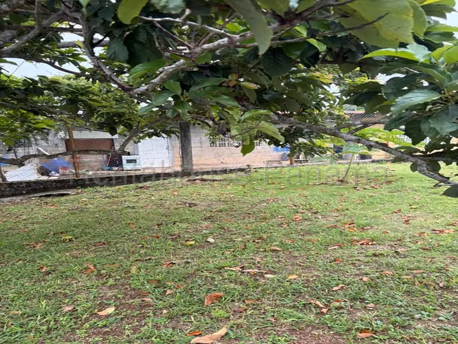 Venta Terreno La Chorrera - YD - Imagen 4