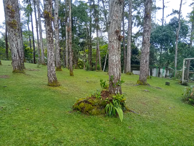 ALTOS DE CERRO AZUL CASA EN VENTA - Imagen 18