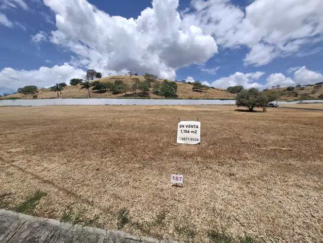En Venta: Terreno de 1,156 m² en PH Brisas del Celaje – $57,800 - Imagen 4