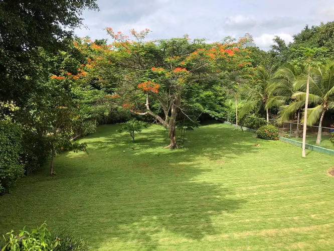 EXCLUSIVA CASA EN VENTA EN CORONADO – AMPLIO TERRENO DE 1,500 m² - Imagen 4