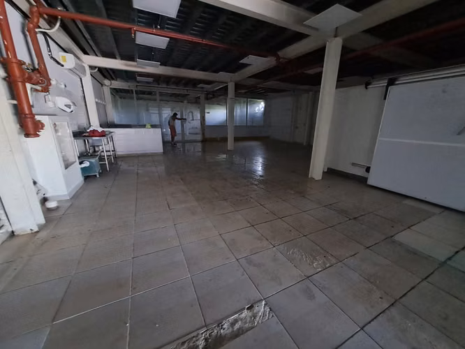 VENDO GALERA INDUSTRIAL 525mts Mezzanine - Imagen 2