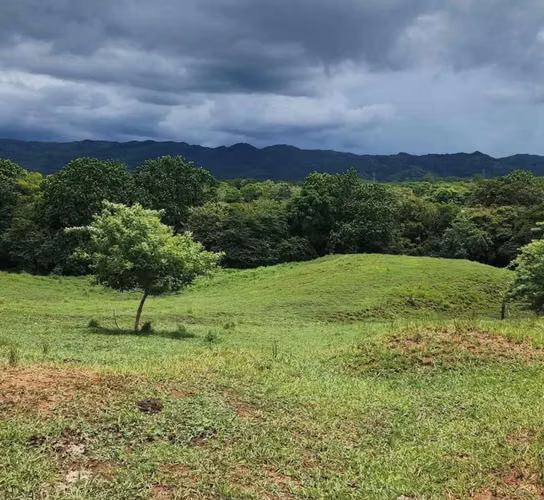 SE VENDE TERRENO 9.5 HAS EN CHEPO A ORILLA DE LA PANAMERICANA - Imagen 2