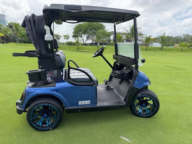 SE VENDE CARRITO DE GOLF EZGO RXV 2016