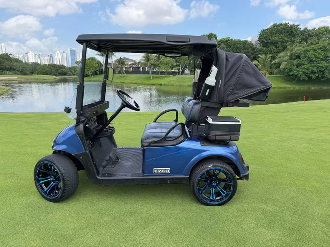2016 EZGO RXV Golf Cart for Sale
