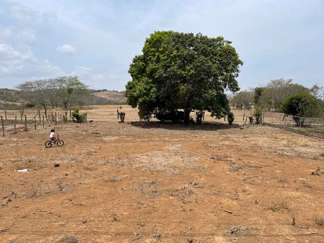 Venta de Terreno en Guarare Perales con 1000m2