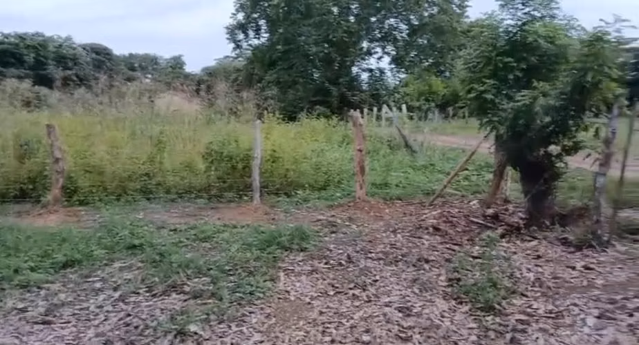 Venta de Terreno en Guarare Perales con 1000m2 - Imagen 4