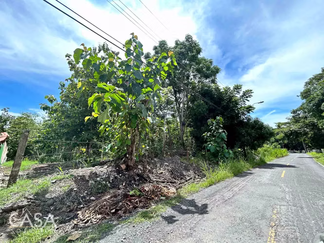 Lote Plano de 14,644 m² en Venta en Las Uvas, Panamá – Ideal para Proyectos Agrícolas o Turísticos - Imagen 5