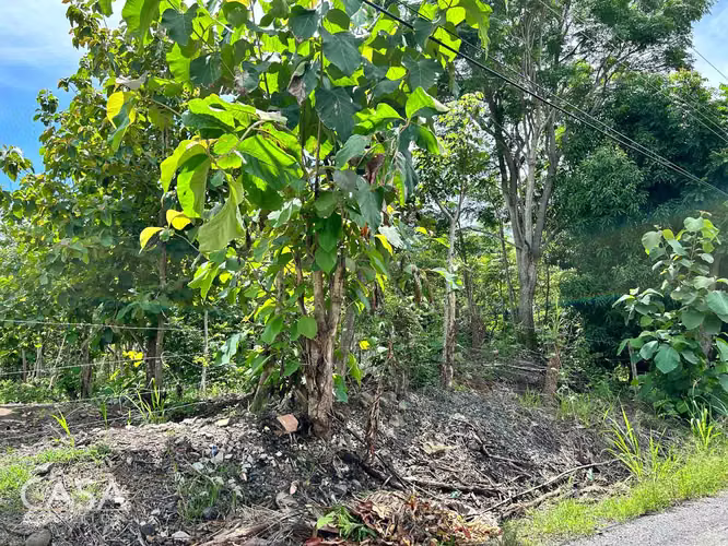 Lote Plano de 14,644 m² en Venta en Las Uvas, Panamá – Ideal para Proyectos Agrícolas o Turísticos - Imagen 13
