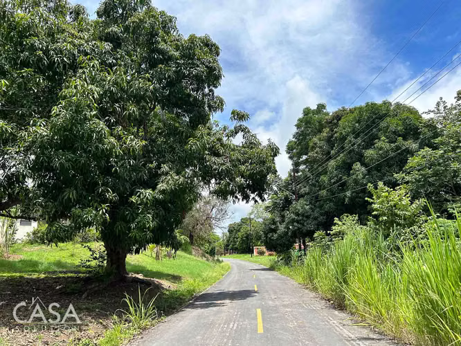 Lote Plano de 14,644 m² en Venta en Las Uvas, Panamá – Ideal para Proyectos Agrícolas o Turísticos