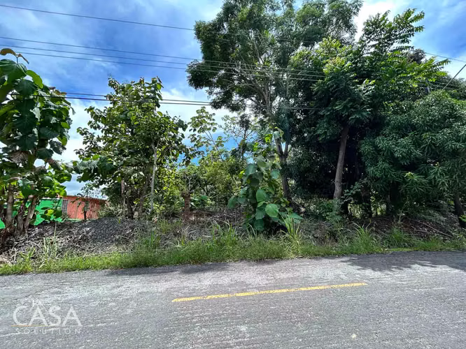 Lote Plano de 14,644 m² en Venta en Las Uvas, Panamá – Ideal para Proyectos Agrícolas o Turísticos - Imagen 19