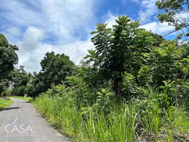 Lote Plano de 14,644 m² en Venta en Las Uvas, Panamá – Ideal para Proyectos Agrícolas o Turísticos - Imagen 11
