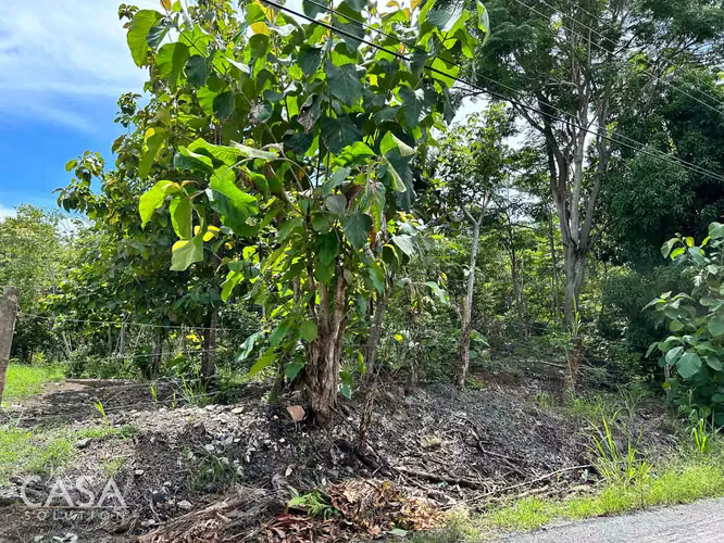 Lote Plano de 14,644 m² en Venta en Las Uvas, Panamá – Ideal para Proyectos Agrícolas o Turísticos - Imagen 2