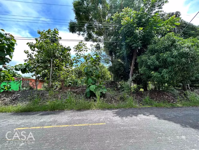 Lote Plano de 14,644 m² en Venta en Las Uvas, Panamá – Ideal para Proyectos Agrícolas o Turísticos - Imagen 4