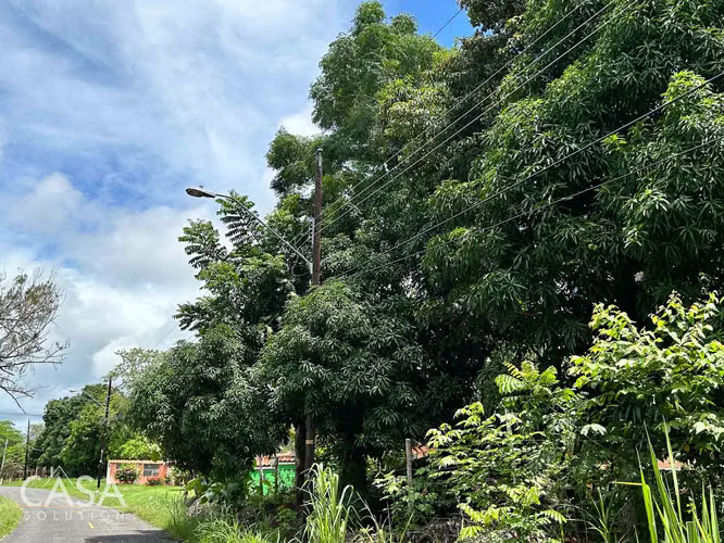 Lote Plano de 14,644 m² en Venta en Las Uvas, Panamá – Ideal para Proyectos Agrícolas o Turísticos - Imagen 14