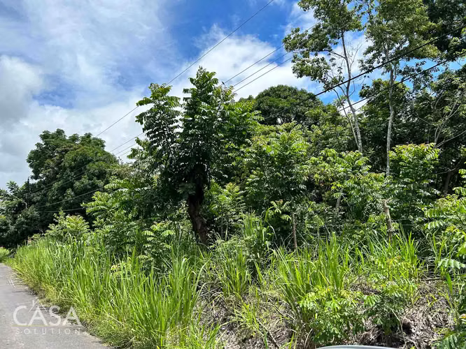 Lote Plano de 14,644 m² en Venta en Las Uvas, Panamá – Ideal para Proyectos Agrícolas o Turísticos - Imagen 12
