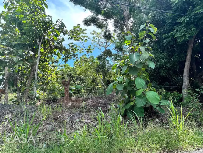 Lote Plano de 14,644 m² en Venta en Las Uvas, Panamá – Ideal para Proyectos Agrícolas o Turísticos - Imagen 7