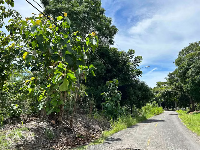 Lote Plano de 14,644 m² en Venta en Las Uvas, Panamá – Ideal para Proyectos Agrícolas o Turísticos - Imagen 9