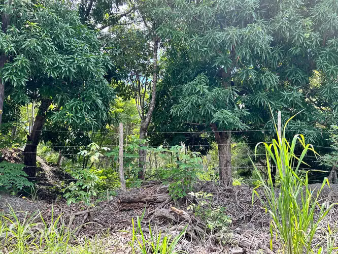 Lote Plano de 14,644 m² en Venta en Las Uvas, Panamá – Ideal para Proyectos Agrícolas o Turísticos - Imagen 15