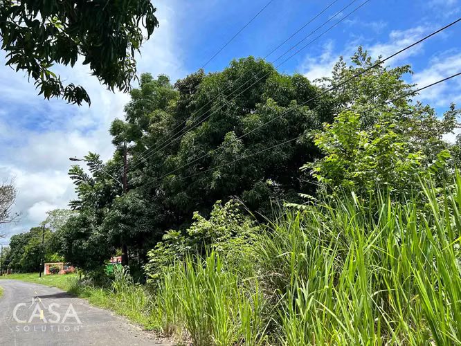 Lote Plano de 14,644 m² en Venta en Las Uvas, Panamá – Ideal para Proyectos Agrícolas o Turísticos - Imagen 3