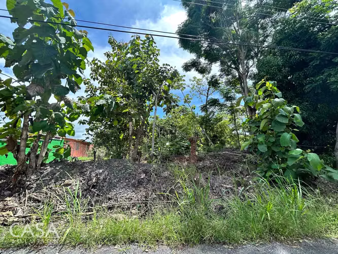 Lote Plano de 14,644 m² en Venta en Las Uvas, Panamá – Ideal para Proyectos Agrícolas o Turísticos - Imagen 17