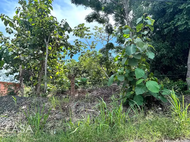 Lote Plano de 14,644 m² en Venta en Las Uvas, Panamá – Ideal para Proyectos Agrícolas o Turísticos - Imagen 18