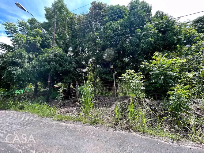 Lote Plano de 14,644 m² en Venta en Las Uvas, Panamá – Ideal para Proyectos Agrícolas o Turísticos - Imagen 10
