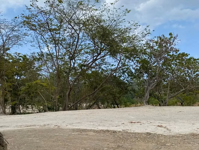 Venta de Lote en San Carlos a solo 5 minutos de El Palmar - Imagen 2