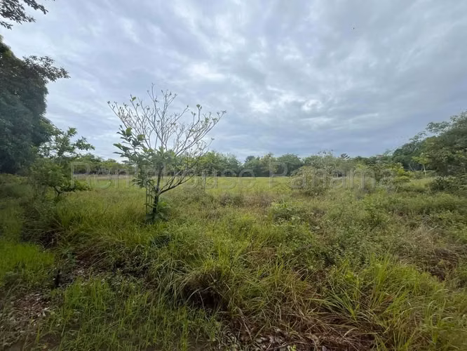 Terreno en Venta en Río Hato Cocle  CIG271339