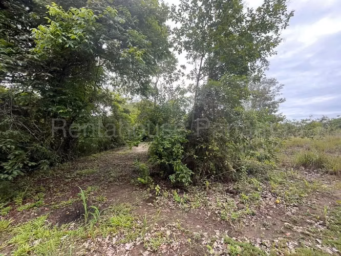 Terreno en Venta en Río Hato Cocle  CIG271339