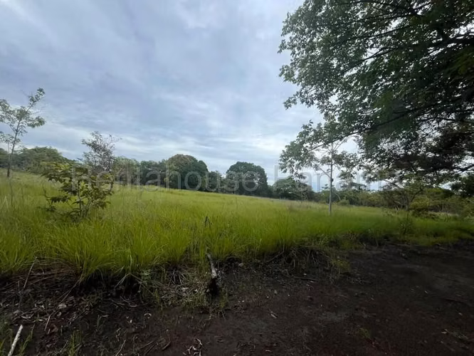 Terreno en Venta en Río Hato Cocle  CIG271339