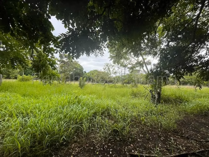 Terreno en Venta en Río Hato Cocle  CIG271339