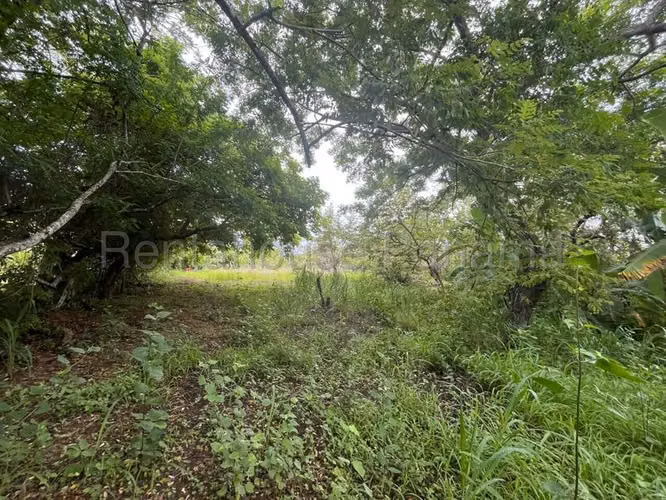 Terreno en Venta en Río Hato Cocle  CIG271339