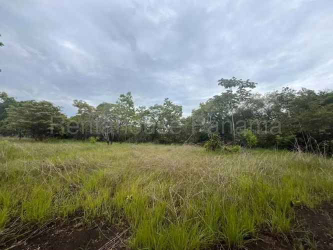 Terreno en Venta en Río Hato Cocle  CIG271339