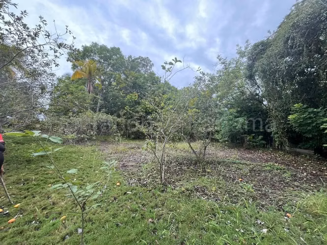 Terreno en Venta en Río Hato Cocle  CIG271339