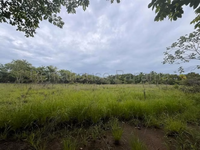 Terreno en Venta en Río Hato Cocle  CIG271339