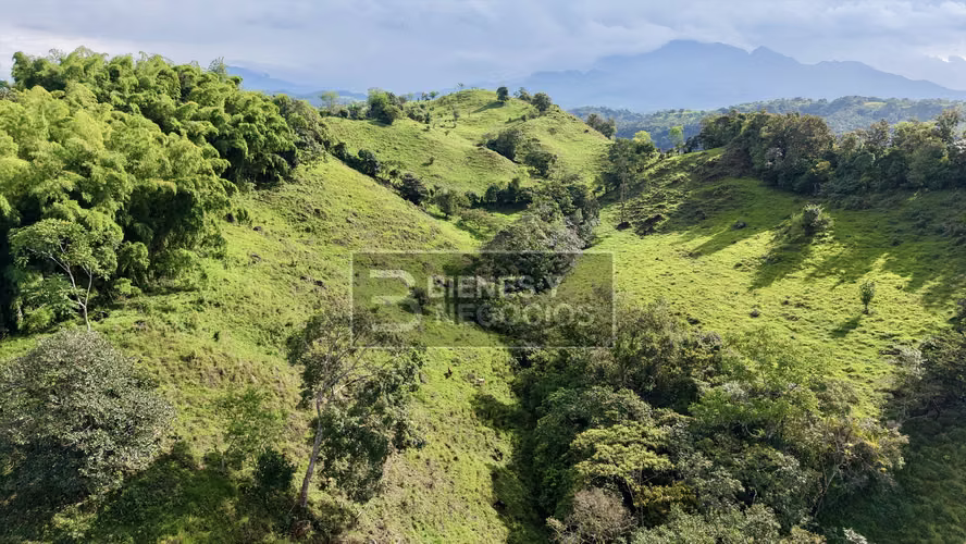 Finca en Chiriqui, Bugaba, 15.6 hectáreas en Camaron Arriba