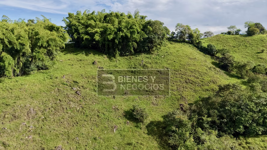 Finca en Chiriqui, Bugaba, 15.6 hectáreas en Camaron Arriba - Imagen 6