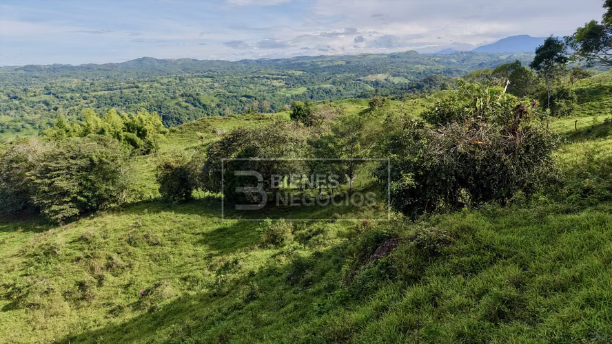 Finca en Chiriqui, Bugaba, 15.6 hectáreas en Camaron Arriba - Imagen 10