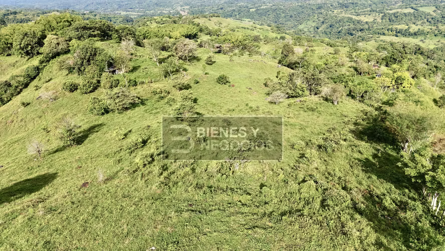 Finca en Chiriqui, Bugaba, 15.6 hectáreas en Camaron Arriba - Imagen 2