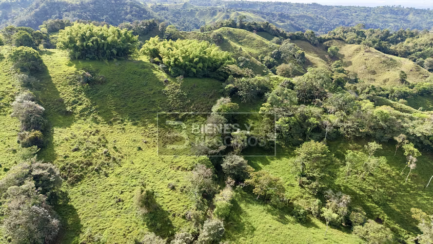 Finca en Chiriqui, Bugaba, 15.6 hectáreas en Camaron Arriba - Imagen 4