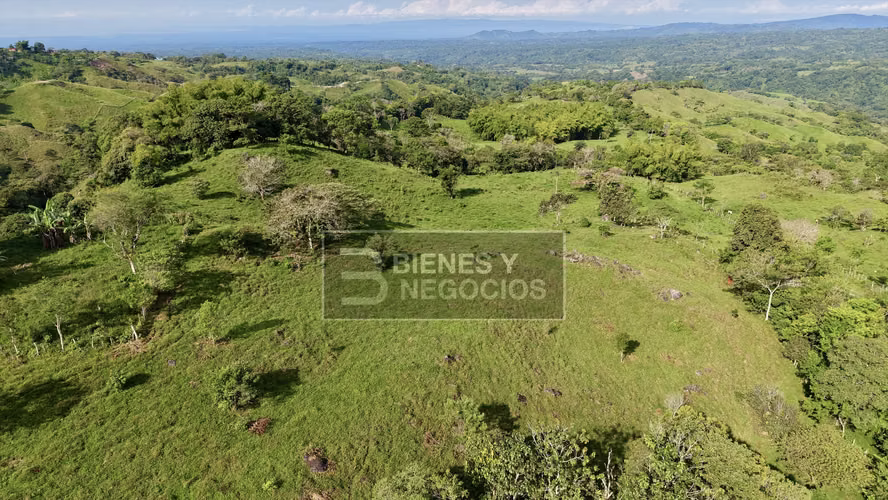 Finca en Chiriqui, Bugaba, 15.6 hectáreas en Camaron Arriba - Imagen 3