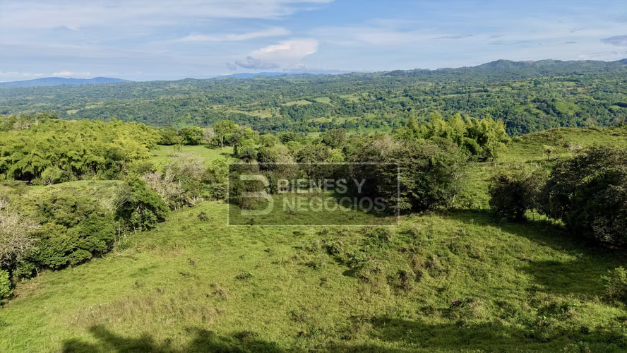 Finca en Chiriqui, Bugaba, 15.6 hectáreas en Camaron Arriba - Imagen 9