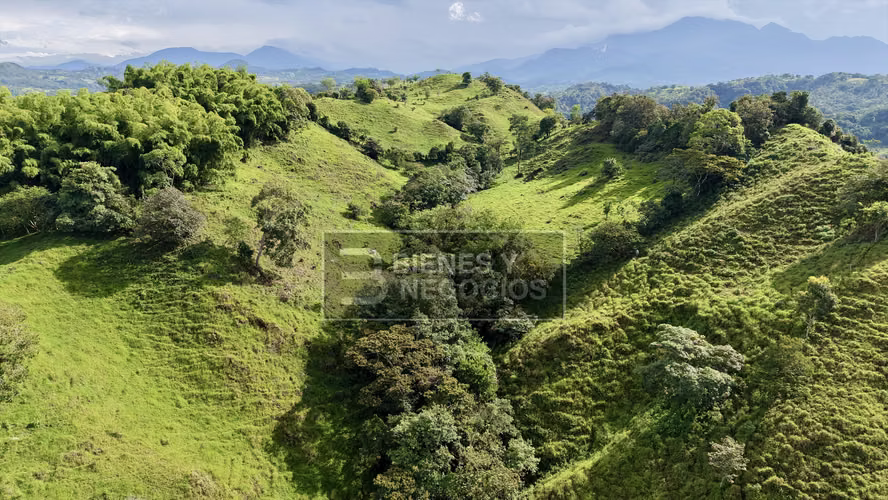 Finca en Chiriqui, Bugaba, 15.6 hectáreas en Camaron Arriba - Imagen 12