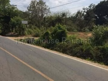 VENDO. Terreno Totalmente Plano en Rio Hato. 100 HAS. - Imagen 14