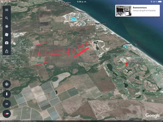 VENDO. Terreno Totalmente Plano en Rio Hato. 100 HAS. - Imagen 15
