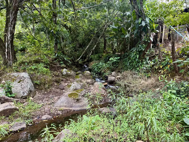 La Estrella, Boquete – Finca de 16.65 Hectáreas junto a Lucero Golf & Country Club - Imagen 3