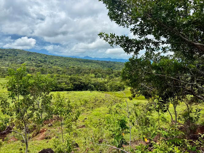 La Estrella, Boquete – Finca de 16.65 Hectáreas junto a Lucero Golf & Country Club - Imagen 9