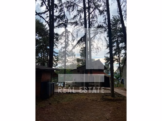 Se vende Terreno con Casa en Cerro Azul - Urb. el Pinar - Imagen 4