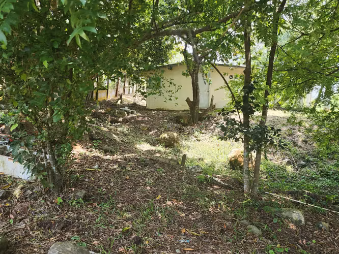 VENDO LOTE CON 3 PROPIEDADES.